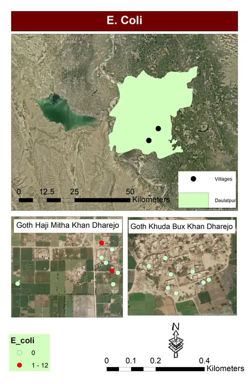 E. Coli Contamination Map